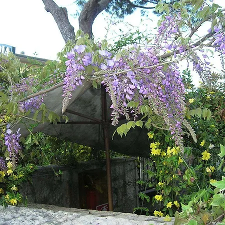 호텔 Pagoda 시르미오네